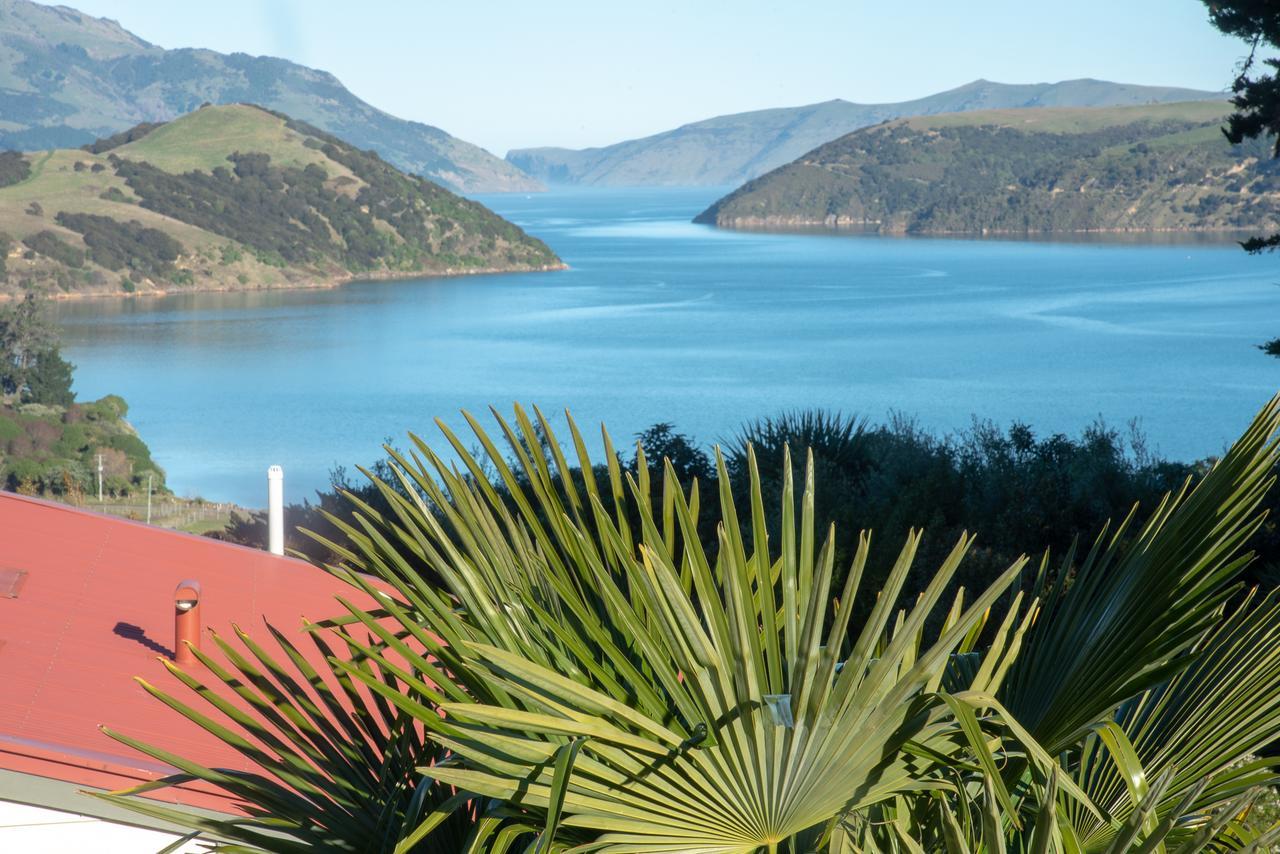 Twin Gullies Bed and Breakfast Akaroa Buitenkant foto